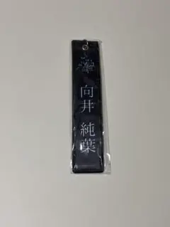 向井純葉 4th ARENA TOUR キーホルダー黒