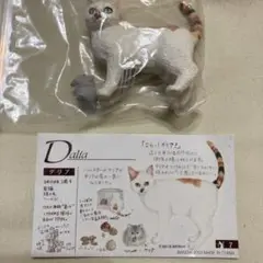 ナーゴコレクション「ダリア」※シリーズ内複数ご購入で2品目から150円引き