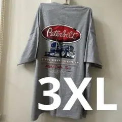 SALE！ギルダン☆Tee カットソー 3XL