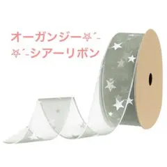Item thumbnail for item 3d12393c-aa5b-4d85-b324-3fab5d8dfb9c