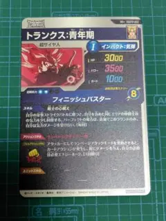 SDVTP-002 トランクス:青年期