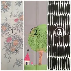 Item thumbnail for item a59014c6-c1fb-4efe-bb73-ba82afb1e81d