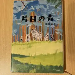 片目の青 陣崎草子