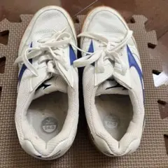 MIZUNO体育館シューズ24センチ