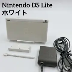 ✨付属品多数✨ Nintendo ニンテンドーDS Lite ホワイト 白 本体