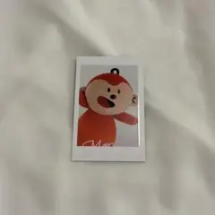 たべっ子どうぶつ　ランド　さるくん　チェキ