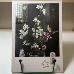 春の星　みなはむ