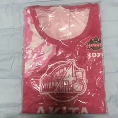 AKITA ノーザンハピネッツ　ユニフォーム