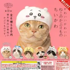 Item thumbnail for item 17547ece-d04d-4eeb-b6f6-07ddc4ef72e6