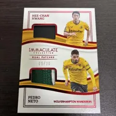 PaniniWolverhampton Wanderers デュアルパッチカード