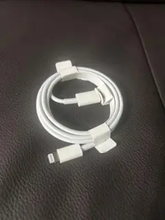 新品 Apple 純正 iPhone Lightning type-c ケーブル