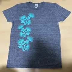 クナアトレス　カヘレ　グレー レフアプリント Tシャツ S フラダンス