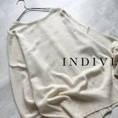 INDIVI 前後2way クルーネックニット 洗える ラメ入り