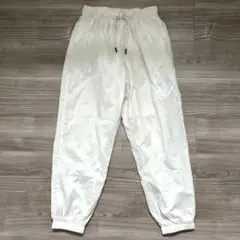 Item thumbnail for item 2d7e592d-ba8c-4e9d-9cf0-ad791d188409