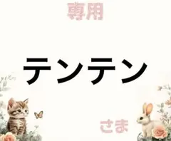 専用