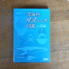深海魚摩訶ふしぎ図鑑