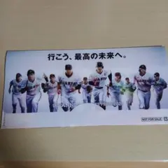 GIANTS PRIDE 2024 グッズ　チケット入れ
