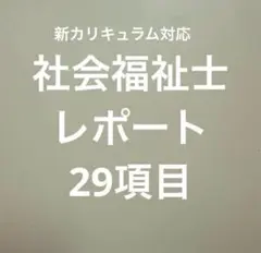 社会福祉士レポート