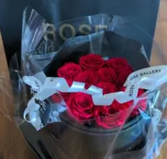 【ROSE GALLERY GINZA】カムアップローゼス(S-N11)