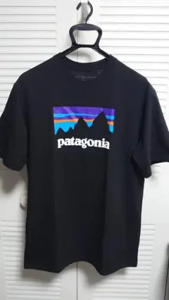 【美品】patagonia パタゴニア レスポンシビリティー S ブラック