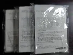 Item thumbnail for item 396cf1bc-cf92-4704-8f58-2948c86ae940