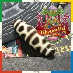 チベット天珠 亀甲 天珠ワールドNo.c73