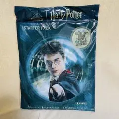 新品 ハリーポッターと秘密の部屋 20周年記念 トレカBOX 空飛ぶ