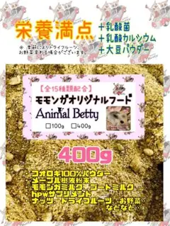 Item thumbnail for item ae0ba2ae-2c94-48c5-a9b4-737d1042eb7a