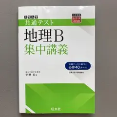 地理B 集中講義