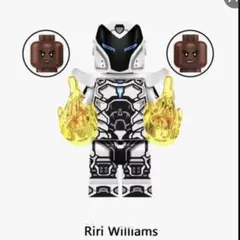 Item thumbnail for item 5633f809-f5cc-4547-bdda-5edf9051e589