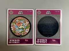 マンホールカード 高知県 香美市 南国市 やなせライオン