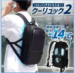 Item thumbnail for item dc837fa5-6fdb-4b2a-883e-231801bab47d