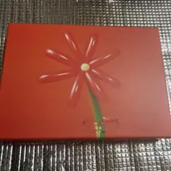 マカロニえんぴつ/MACAROCK'N LIVE-1〈初回生産限定盤〉BD