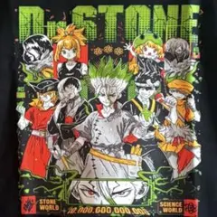新品⭐︎Lサイズ⭐︎Dr.stone⭐︎ドクターストーン⭐︎Tシャツ