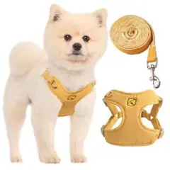 Item thumbnail for item 6c7b783f-a6e6-4a30-a022-83bc24e0cb42