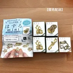 【匿名配送】はずるmini MARINE SERIES 知恵の輪　ガチャ