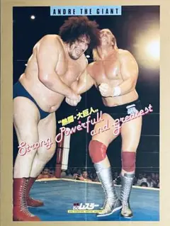 レッスルマニア18 DVD WWE ハルク・ホーガン ザ・ロック Amazon.co.jp: レッスルマニア18 [DVD] : プロレス, プロレス: DVD