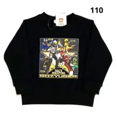 Item thumbnail for item 69737a35-bdbd-4097-9cad-9679c92b71ef