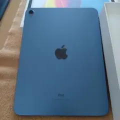 【美品!】Apple iPad第10世代 本体 ブルー 充電器付き