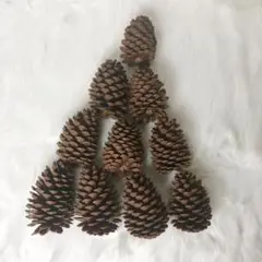 Item thumbnail for item e7b99a92-714d-4068-91db-849bf7d139a0