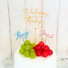 ジェンダーリビール ケーキトッパー　ワイヤー