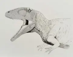 カルカロドントサウルスのペン画
