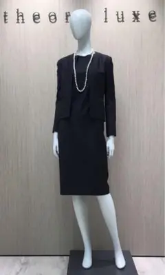 セオリーリュクス executive セットアップ
