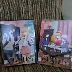 citrus DVDセット 1・3