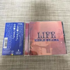 希少見本盤CD 小沢健二　ライフ　ラブリー　今夜はブギーバック