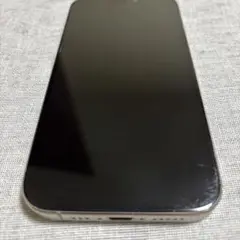 Apple iPhone 15 Pro シルバー