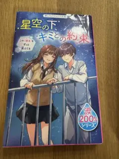星空の下 キミとの約束 涙200%シリーズ　 野いちごジュニア文庫