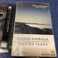 浜田省吾　WASTED.TEARS カセットテープSHOGO HAMADA