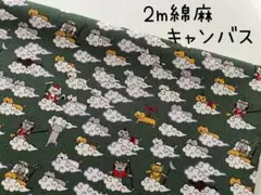 2m　コットンこばやし　猫遊記　猫柄　綿麻キャンバス　ネコ　グリーン　271