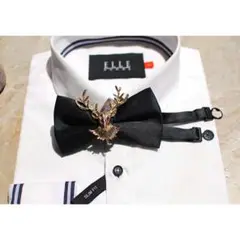 Item thumbnail for item 770bacdc-bf90-4bb5-ac4e-edc735170c1e